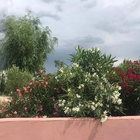 Moderne Mini Maison * Lézignan-Corbières