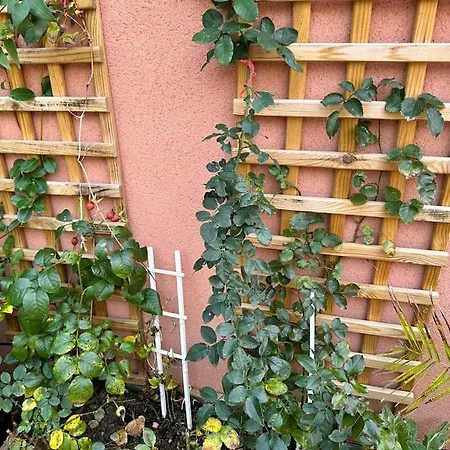 Moderne Mini Maison Appartement Lézignan-Corbières