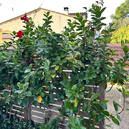 Moderne Mini Maison *