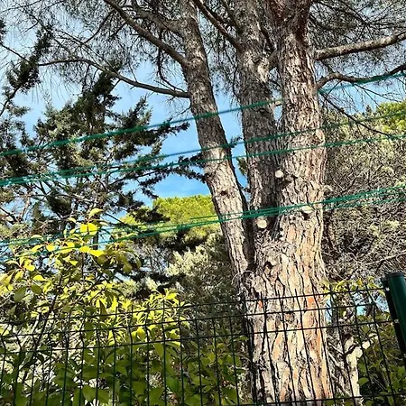 Moderne Mini Maison *