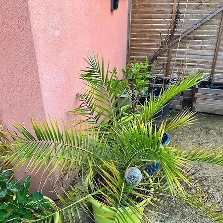 Appartamento Moderne Mini Maison *