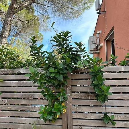 Appartement Moderne Mini Maison *