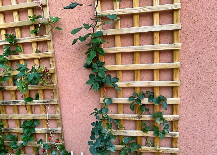 Moderne Mini Maison